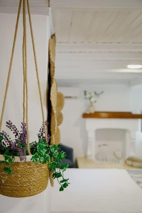 Yard- Family Retreat Apartment Corinth Bagian luar foto